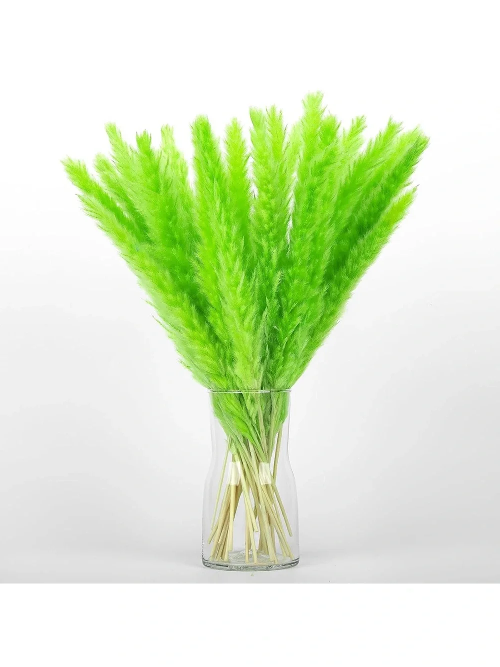Colorful Dried Pampas Grass Stems – Multicolor Home Accent